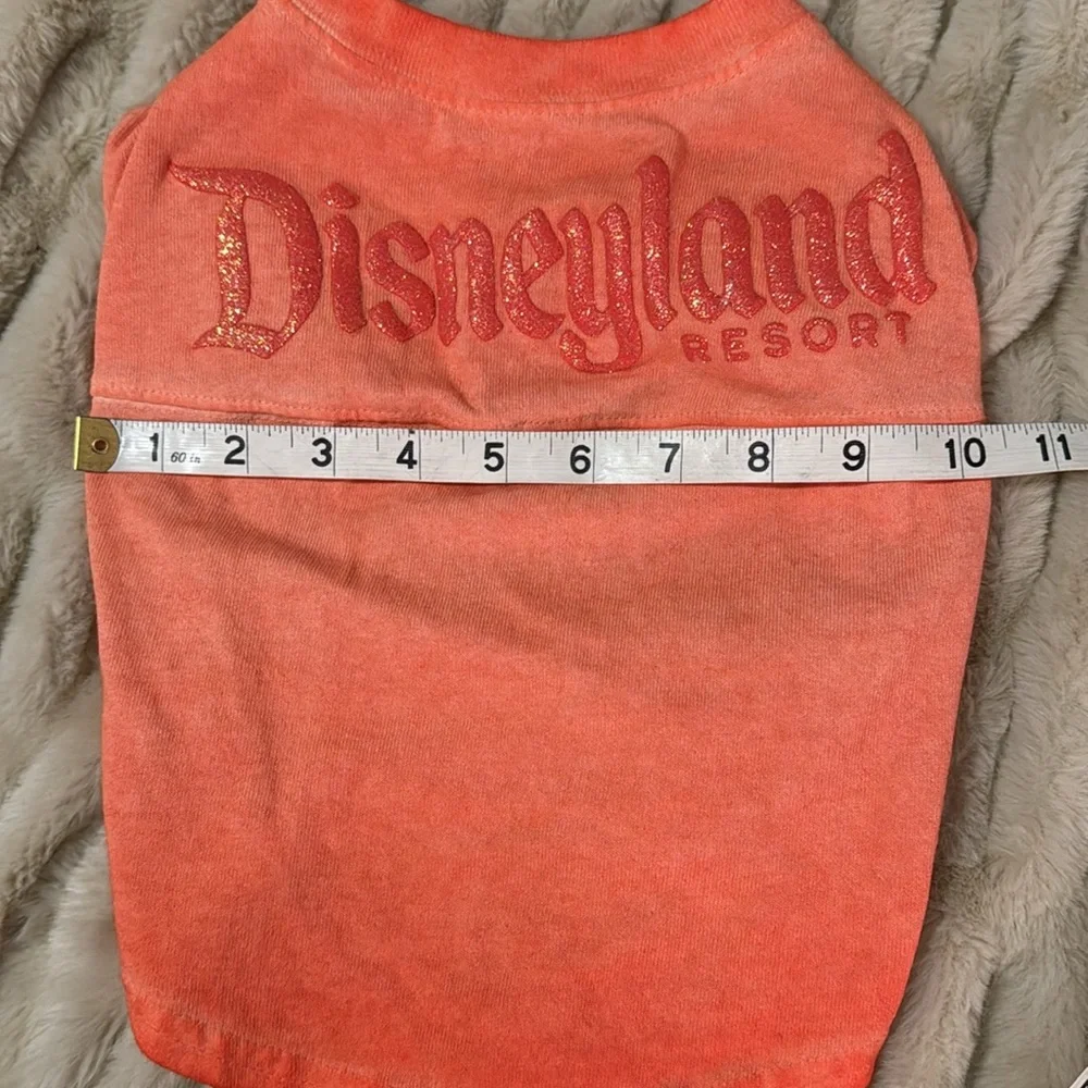 Disneyland Orange ombré Pet T-Shirt (small)